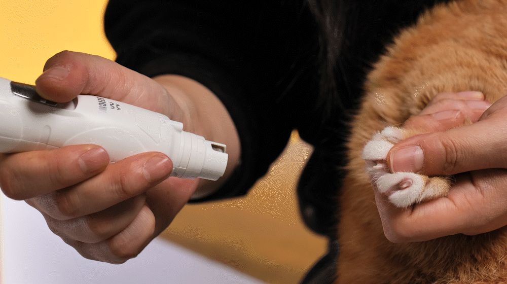 세이치 반려동물 전동 LED  고양이 강아지 발톱깎이 발톱갈이