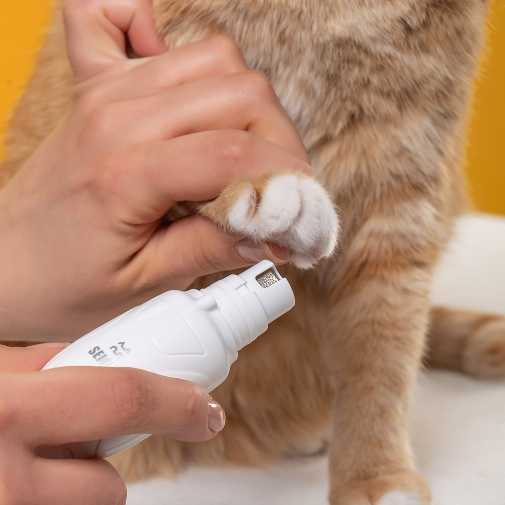 세이치 반려동물 전동 LED  고양이 강아지 발톱깎이 발톱갈이