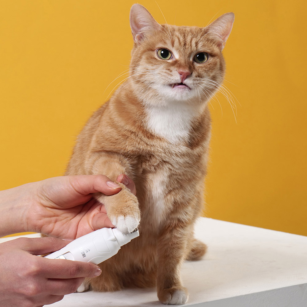 세이치 반려동물 전동 LED  고양이 강아지 발톱깎이 발톱갈이