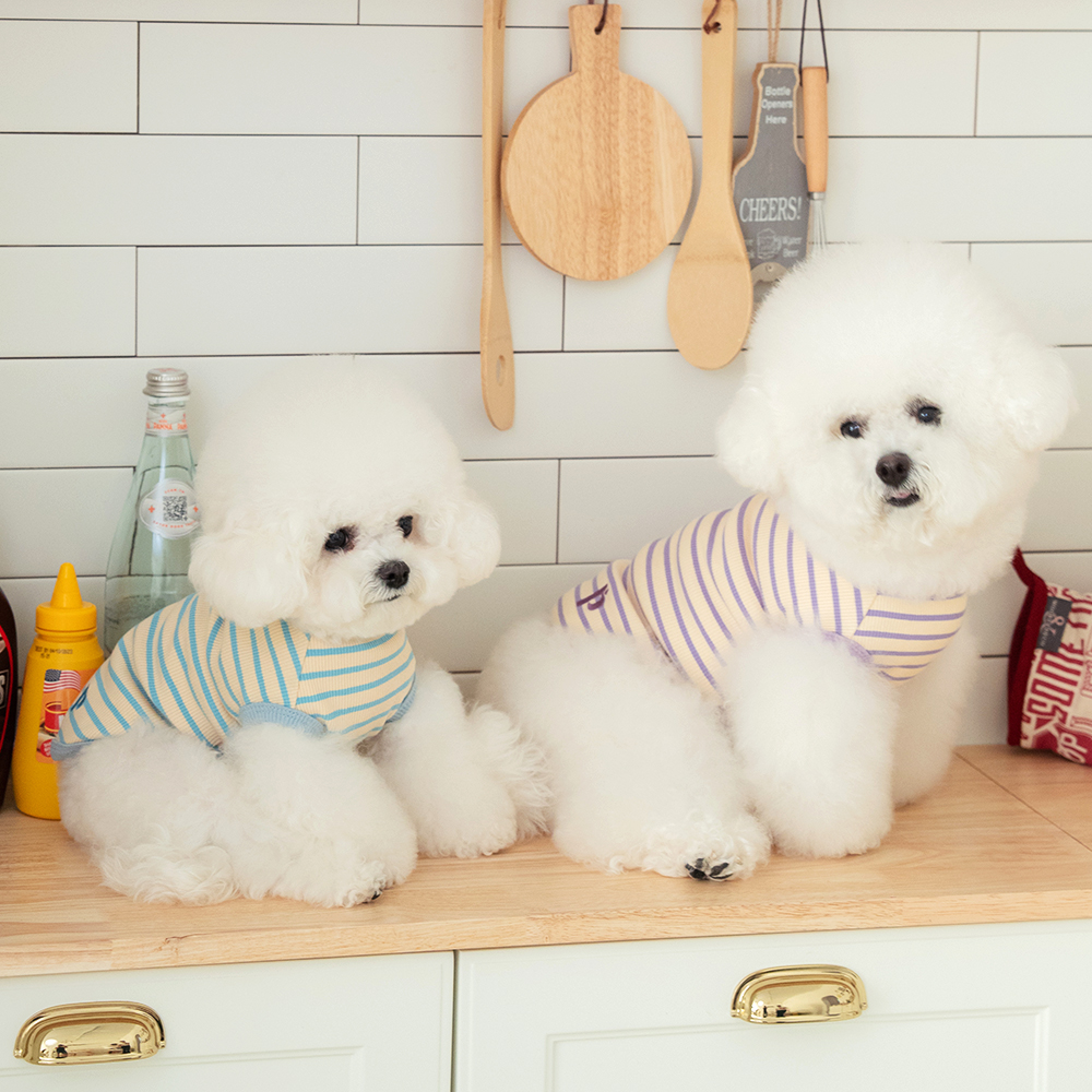 강아지 실내복 봄옷 티셔츠 강아지옷 로키 이미지 4