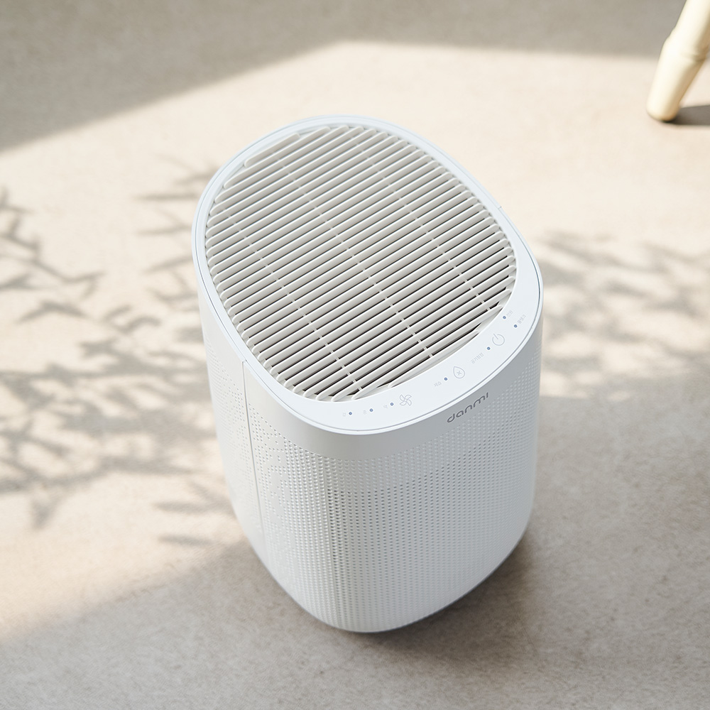 단미 공기청정 제습기 1L 원룸 옷장 욕실 습기제거 미니 소형 펠티어제습기 APD01