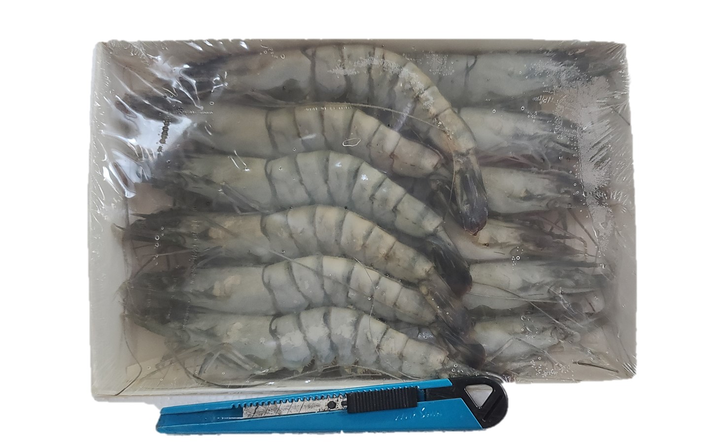 블랙타이거 새우 12미 500g(아이스박스 무료) 냉동 얼룩새우 킹 대왕 킹타이거새우 - 상세 이미지 2