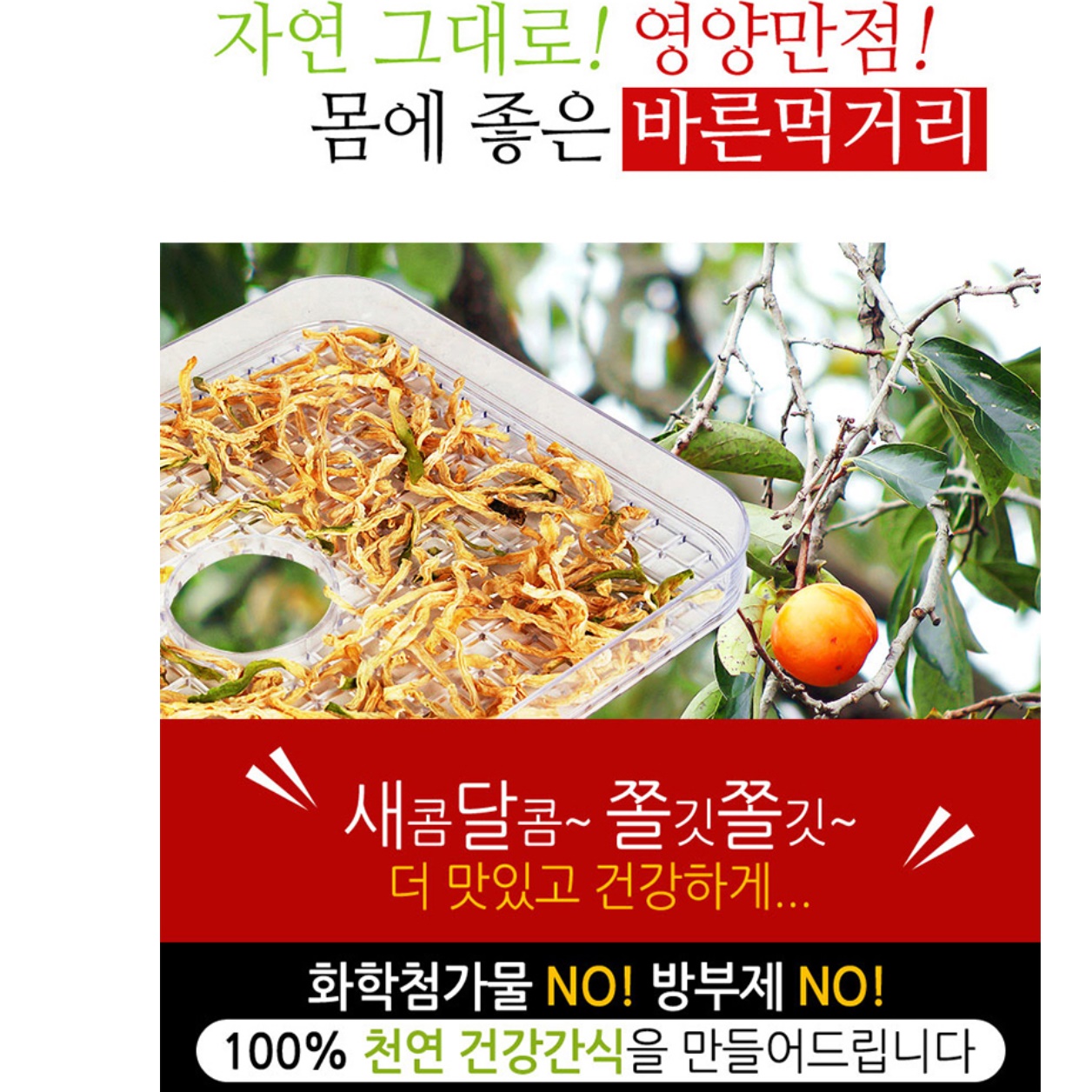 과일건조기 소형식품건조기 가정용야채건조기