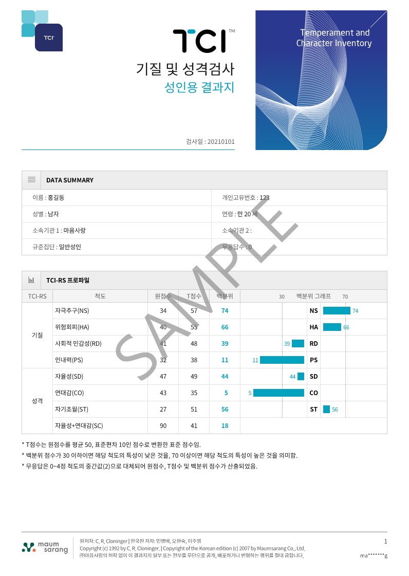 TCI 기질 및 성격검사 (2P 결과지 + 6P 해석보고서 + 참고자료 + 강의)