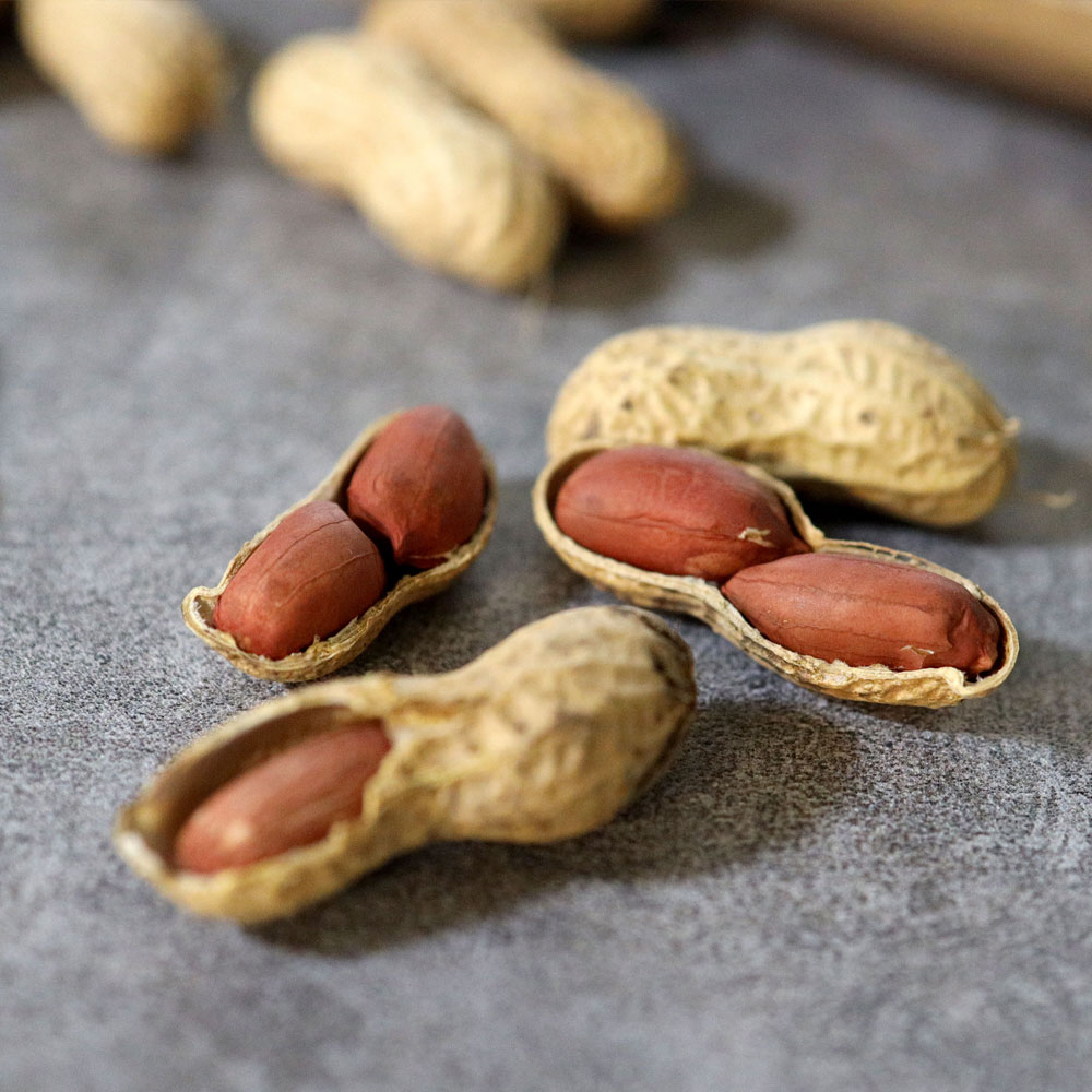 여주땅콩 25년 햇땅콩 고소한 국산 볶은 볶음 땅콩 생땅콩 300g 450g