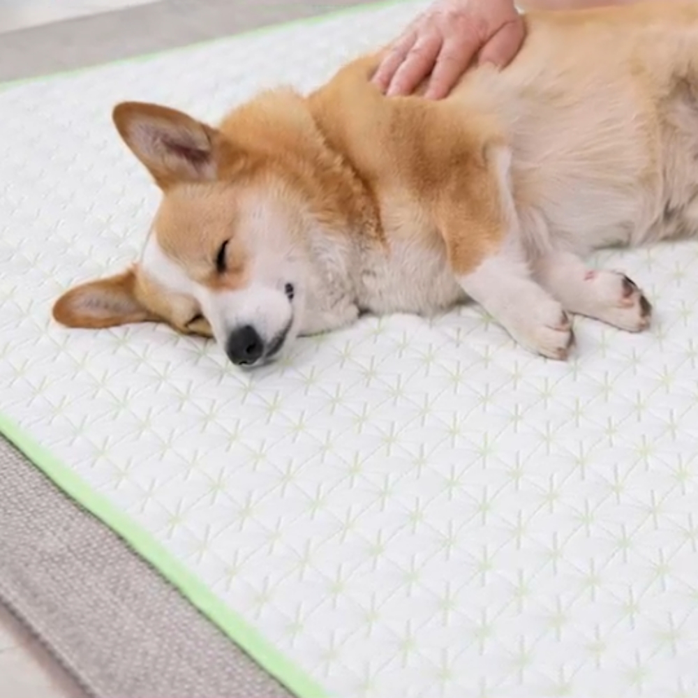 한솔 듀라론 아이스 쿨 냉감매트 싱글 쿨매트 여름침대 패드