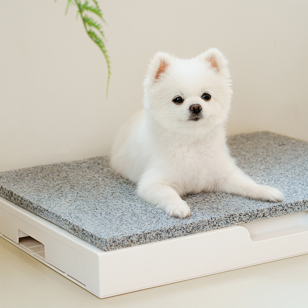 강아지 천연 대리석 쿨매트 중형 애견 고양이 반려견 이미지 4