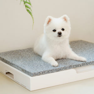 강아지 천연 대리석 쿨매트 중형 애견 고양이 반려견 솔직 후기 | 실제 사용자 리뷰 총정리 - 상품 이미지 4