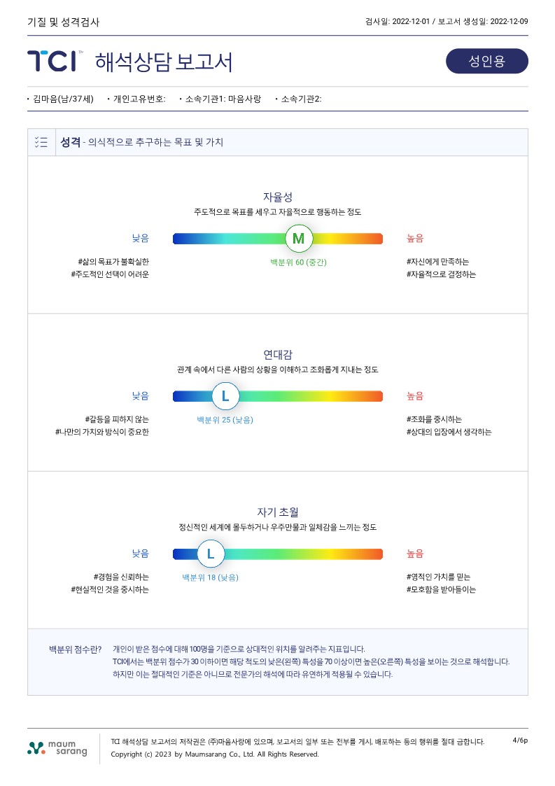 TCI 기질 및 성격검사 (2P 결과지 + 6P 해석보고서 + 참고자료 + 강의)