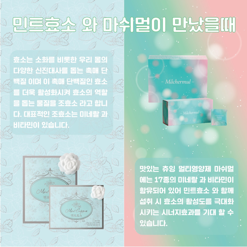 마켓송지 이미지