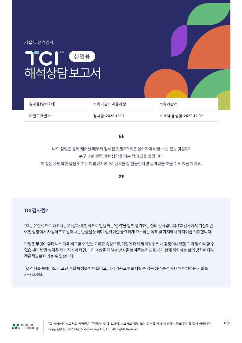 TCI 기질 및 성격검사 (2P 결과지 + 6P 해석보고서 + 참고자료 + 강의)