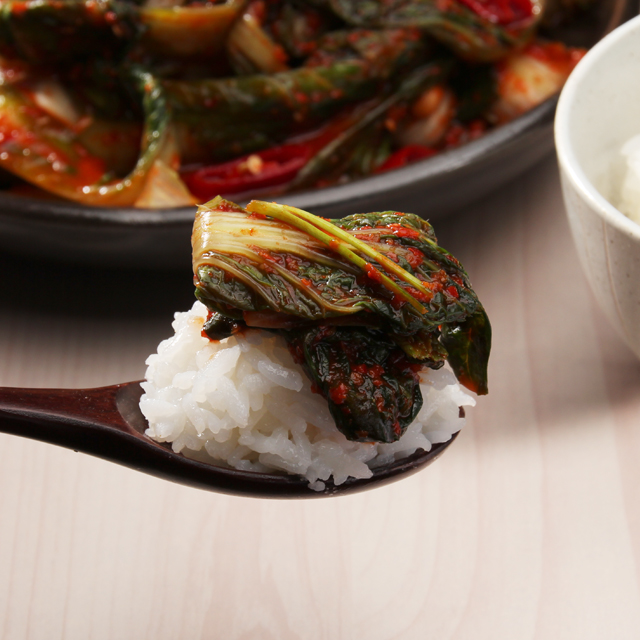 말바우시장 선김치 국산 알배기 겉절이 김치 2kg