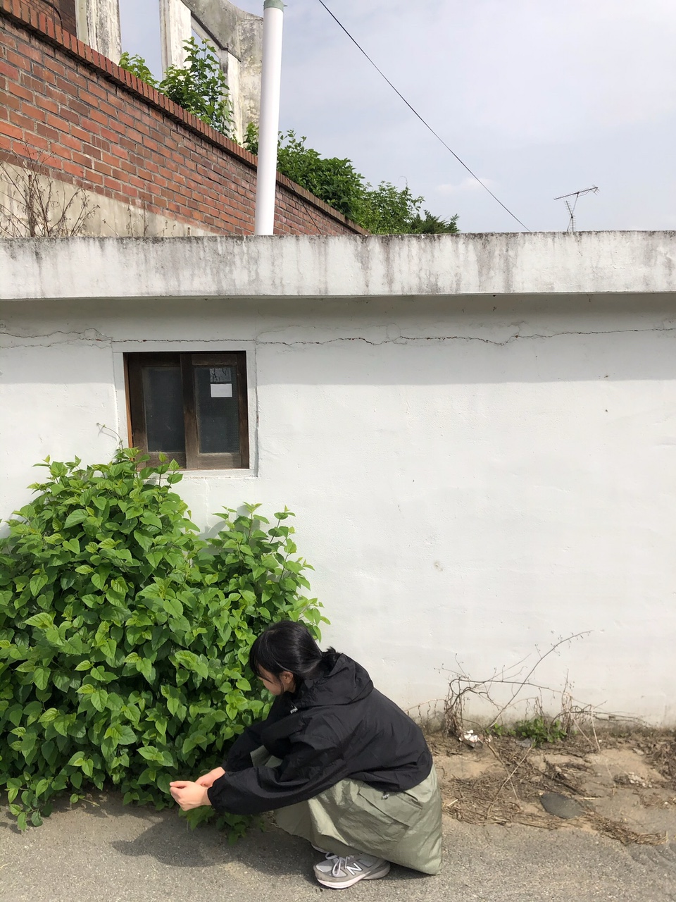 bio hood jp (5color) 상세 이미지 97
