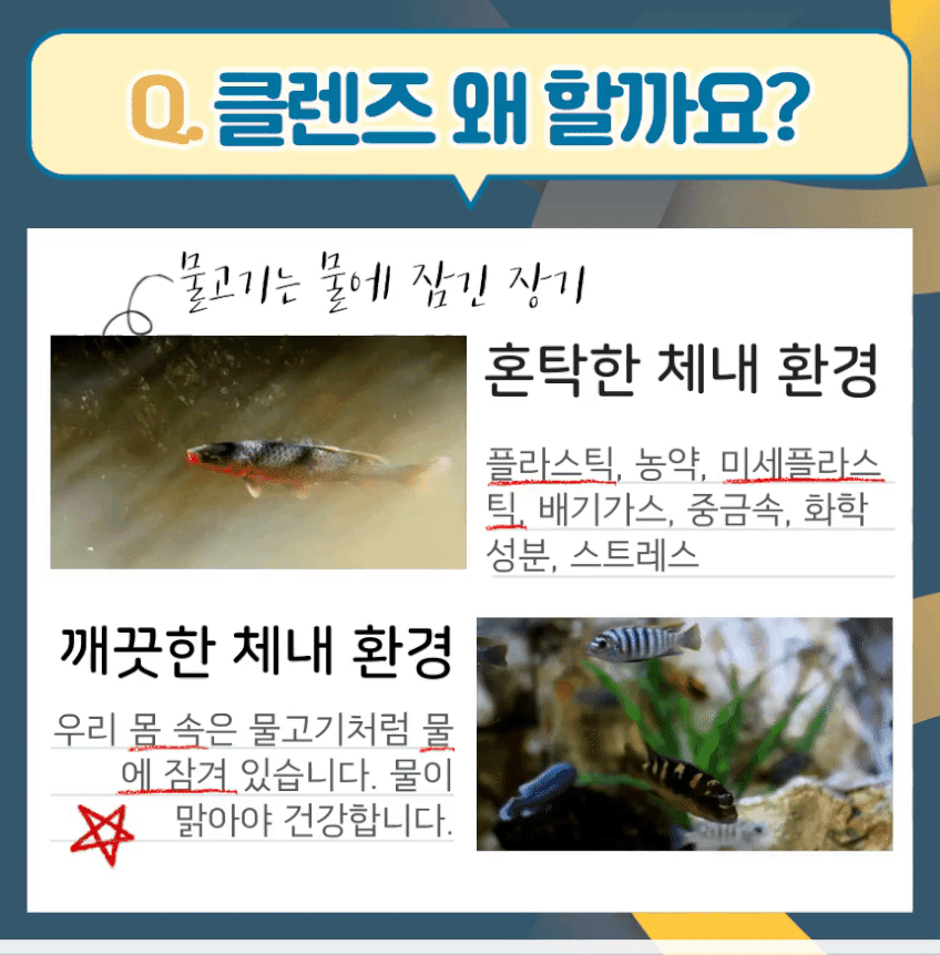 스위스 바이오타 배고픔 없는 상상초월 1주완성 세븐데이즈 7일 클렌즈주스 풀셋 판매처 상세 정보 이미지 4