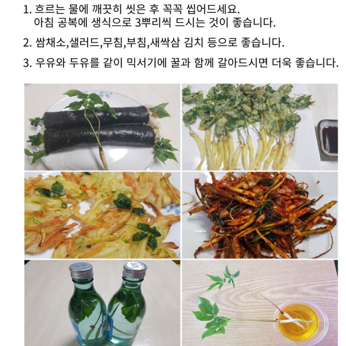 유기농 새싹인삼 새싹삼 튀김용 새싹쌈 수육 보쌈 - 상세 이미지 4