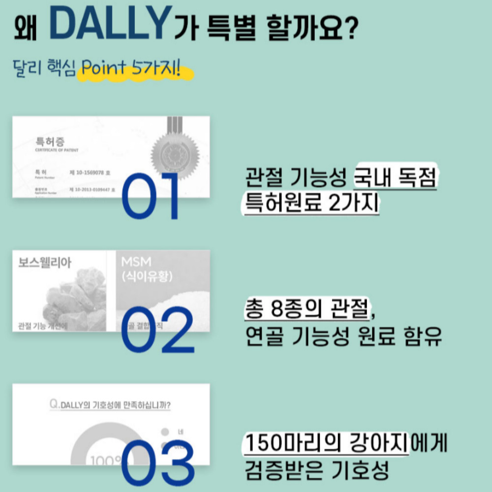 강아지 영양제 관절 터마신 달리 메이드인랩 100개입, 4개