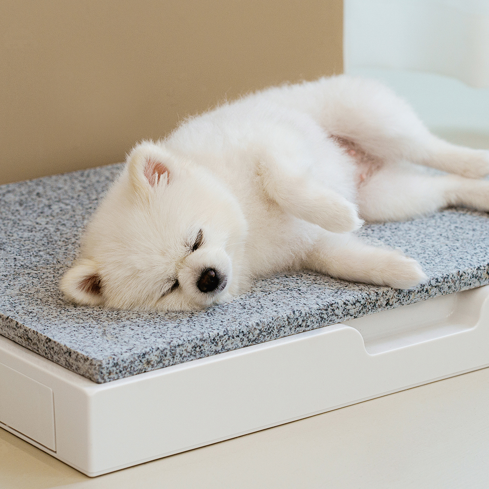 강아지 천연 대리석 쿨매트 중형 애견 고양이 반려견 이미지 3