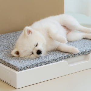 강아지 천연 대리석 쿨매트 중형 애견 고양이 반려견 솔직 후기 | 실제 사용자 리뷰 총정리 - 상품 이미지 3