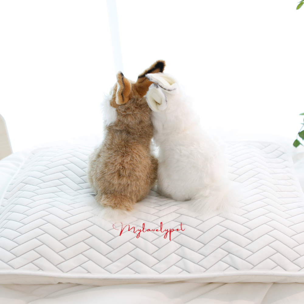 애견 듀라론 쿨매트 M size (앞면)냉감+(뒷면)미끄럼방지 강아지 고양이 반려동물 쿨링