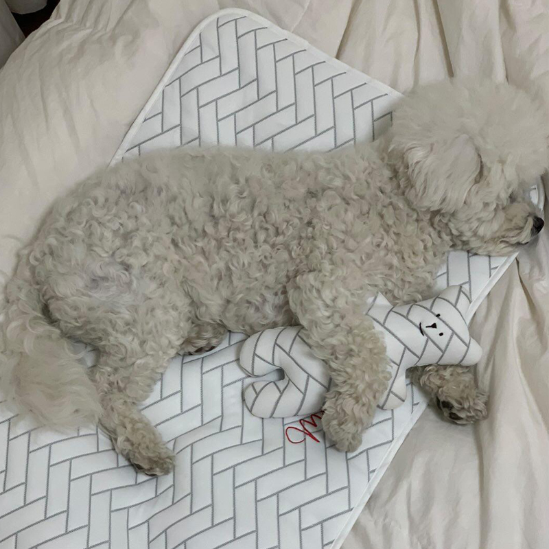 애견 듀라론 쿨매트 M size (앞면)냉감+(뒷면)미끄럼방지 강아지 고양이 반려동물 쿨링