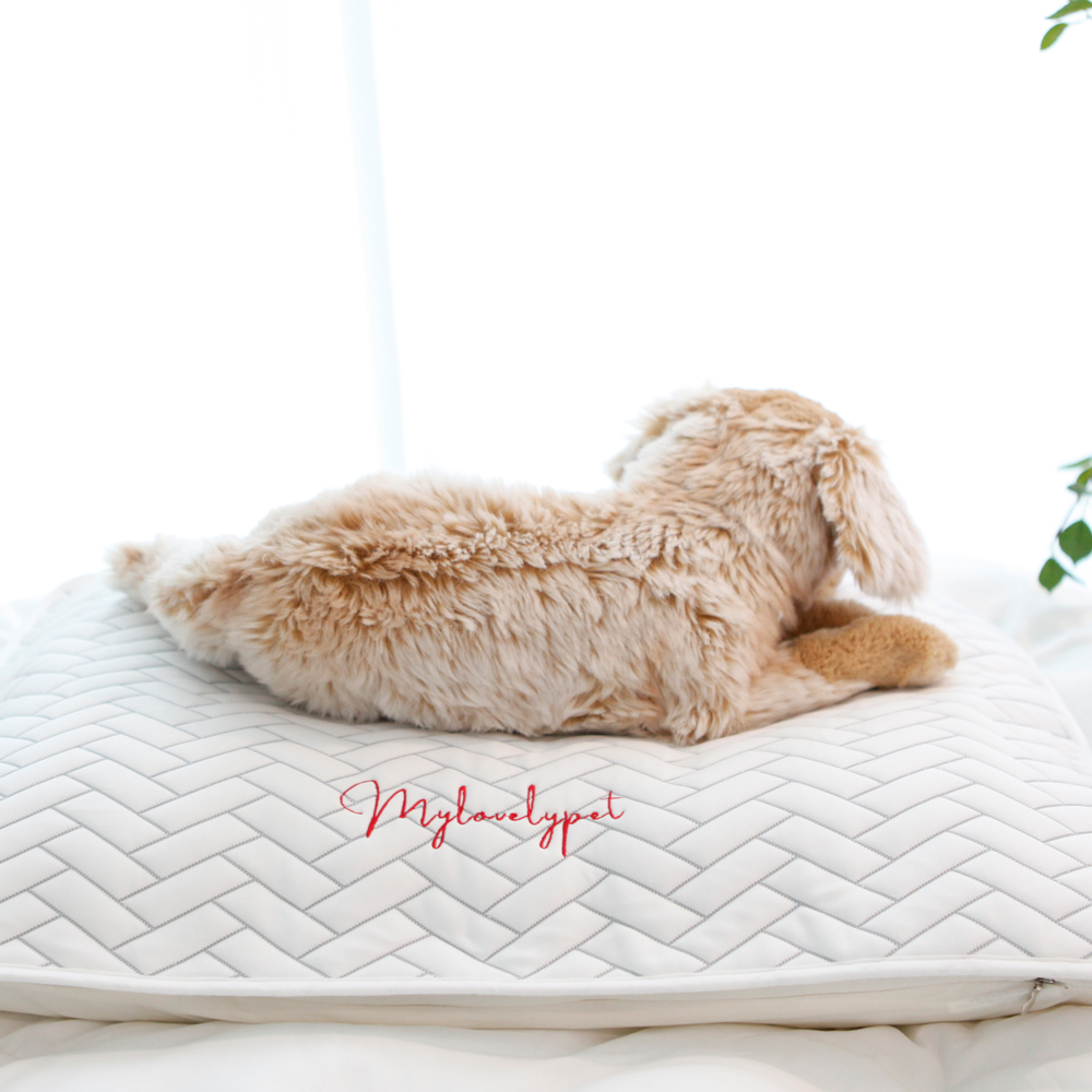 애견 듀라론 쿨매트 M size (앞면)냉감+(뒷면)미끄럼방지 강아지 고양이 반려동물 쿨링