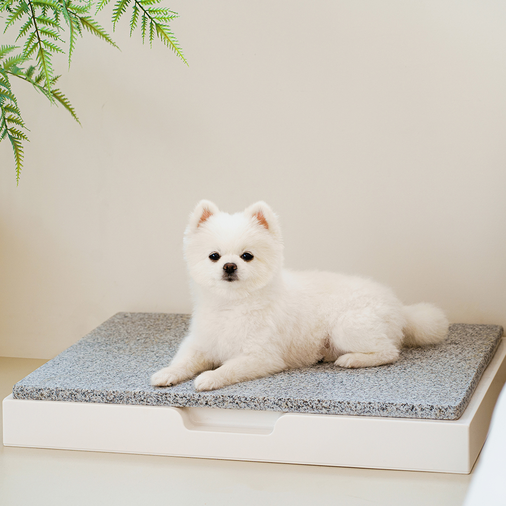 강아지 천연 대리석 쿨매트 중형 애견 고양이 반려견 이미지 2