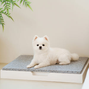 강아지 천연 대리석 쿨매트 중형 애견 고양이 반려견 솔직 후기 | 실제 사용자 리뷰 총정리 - 상품 이미지 2