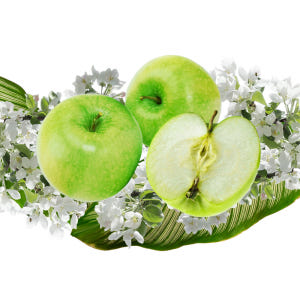 찹찹 덴탈껌 강아지 치석제거 개껌 쏨달펫 장+관절, 1kg, 120개 솔직 후기 | 실제 사용자 리뷰 총정리 - 상품 이미지 4