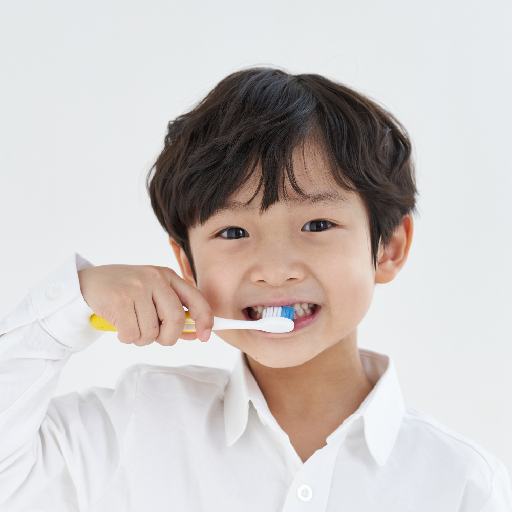 생활공작소 유아칫솔 아기 초등칫솔 어린이칫솔 12개 3세트 - 상세 이미지 4