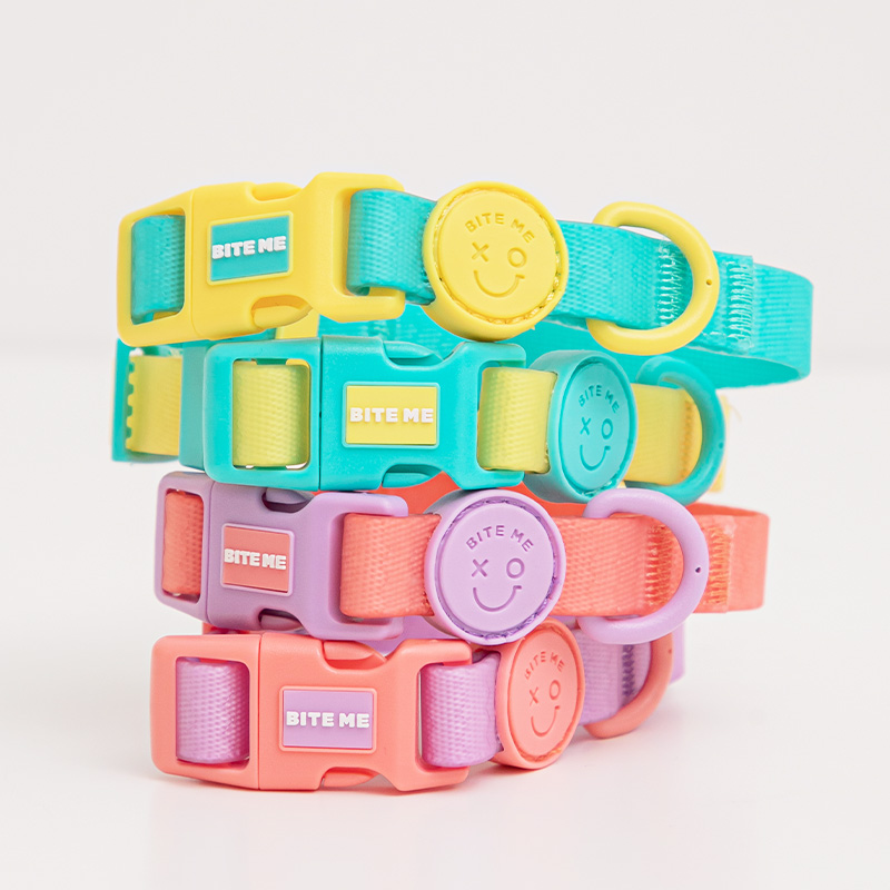 [리뉴얼] 바잇미 강아지 new XO 방수 목줄 + 핸즈프리 리드줄 SET - 4 color