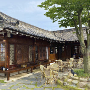 경주버스투어 뚜벅이 시티패스 일일패키지 원데이 당일치기 국내기차여행 커플... 솔직 후기 | 실사용자 리뷰 분석 - 상품 이미지 4