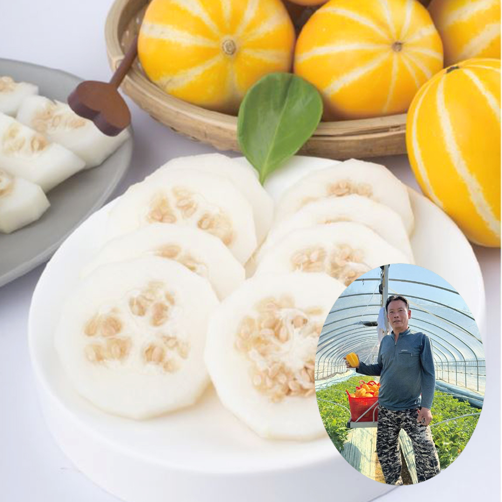 아삭달콤 경북 참외 맛있는 성주 여름 제철과일