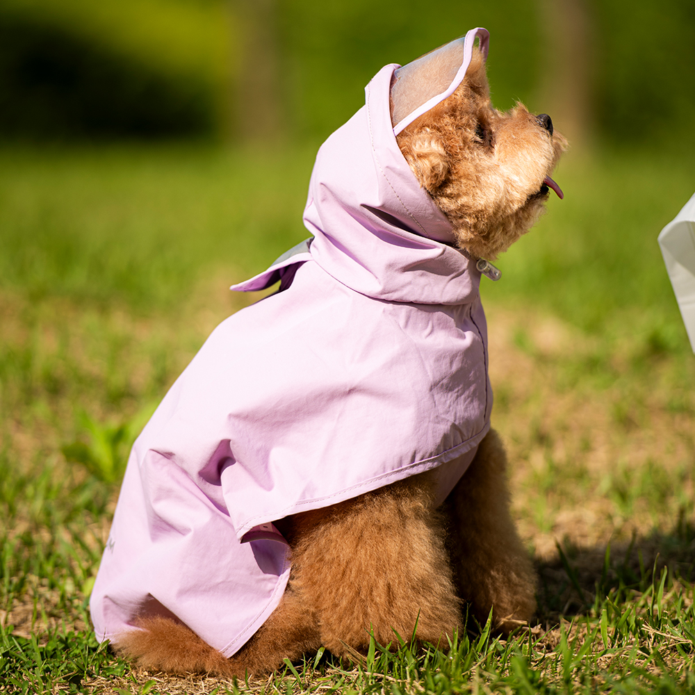 펫트리움 강아지 우비 일체형 레인코트 애견 판초 M