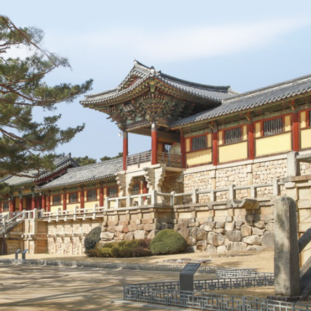 경주버스투어 뚜벅이 시티패스 일일패키지 원데이 당일치기 국내기차여행 커플 야경 가이드투어