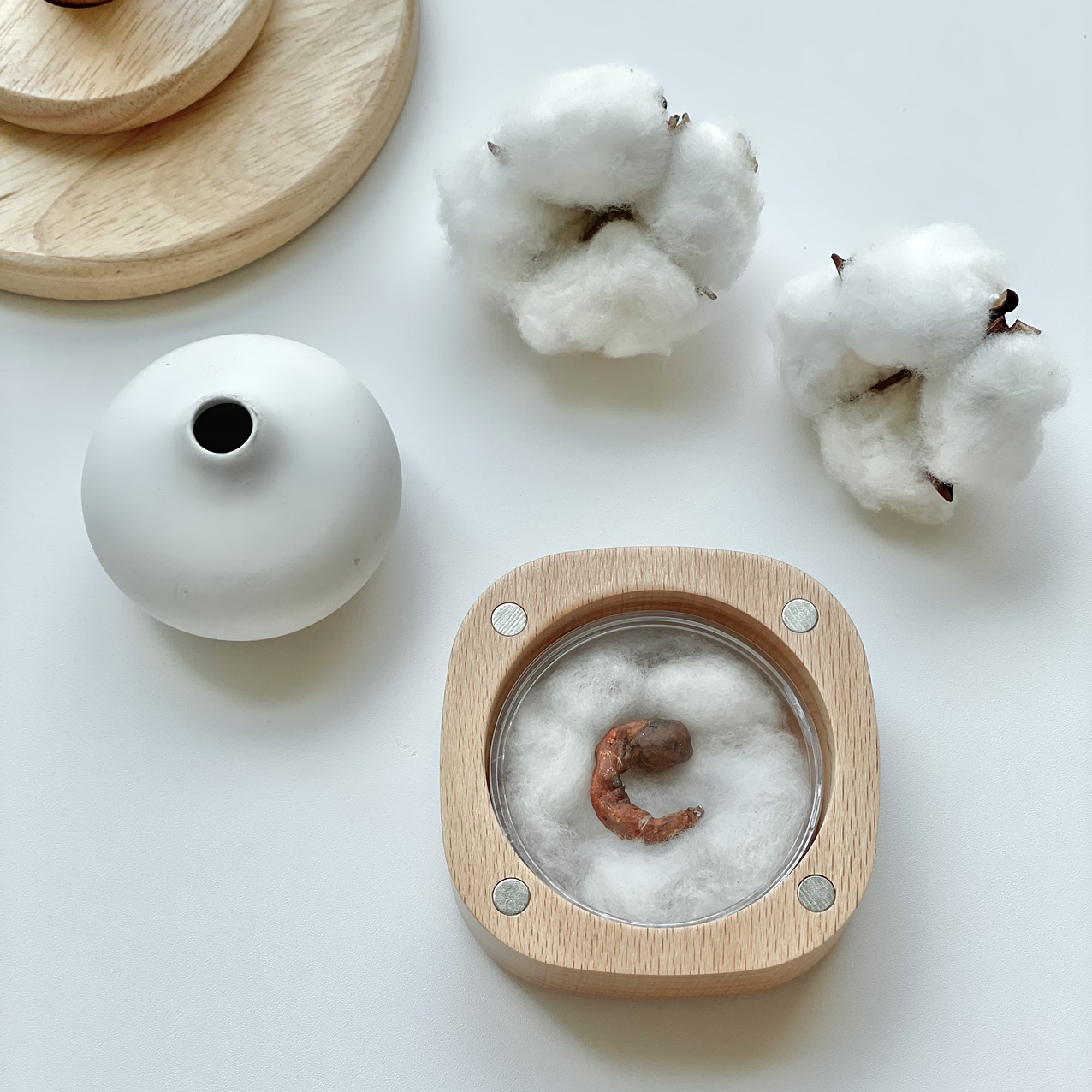 아가모아 탯줄 보관함 제대 보관 목화솜