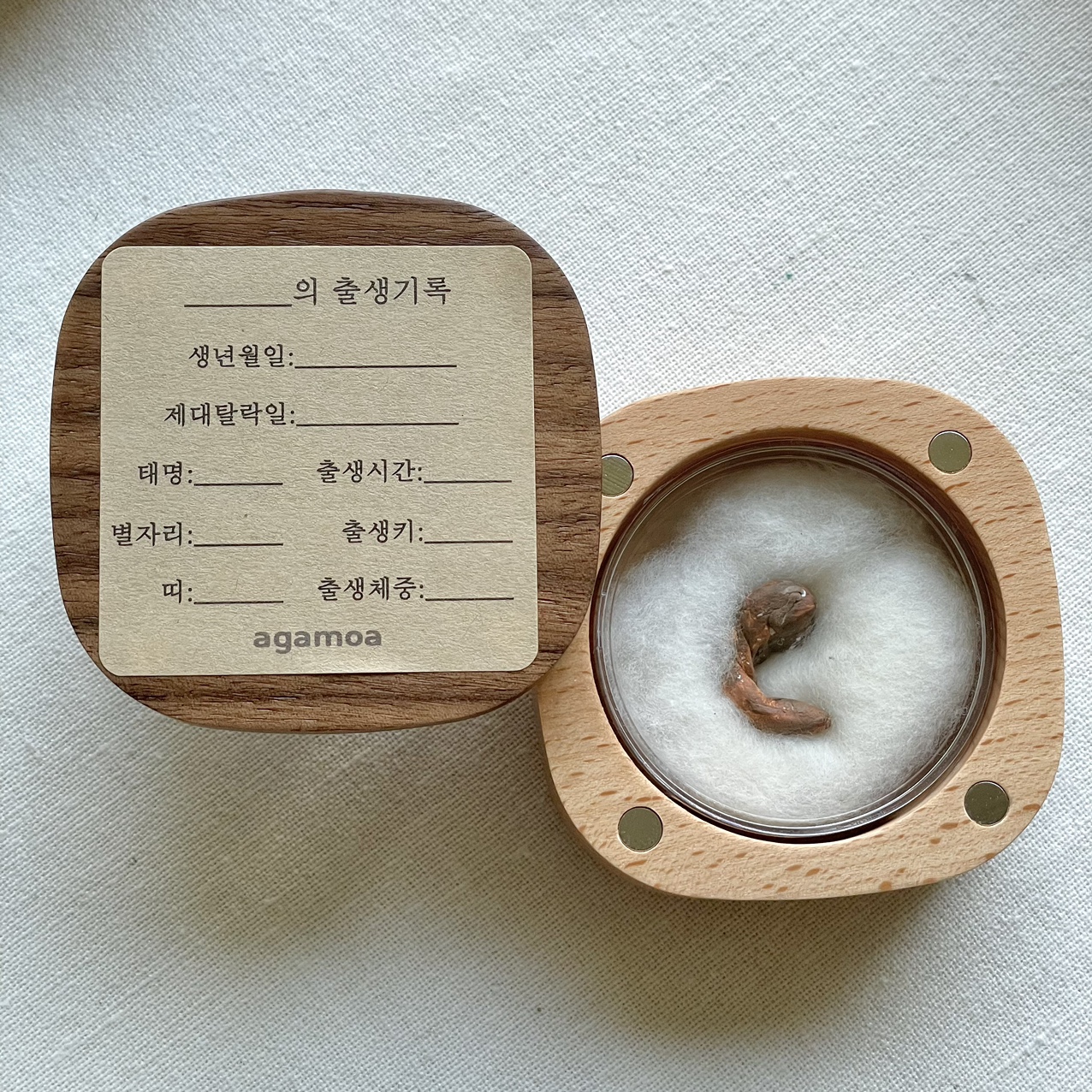 아가모아 탯줄 보관함 제대 보관 목화솜