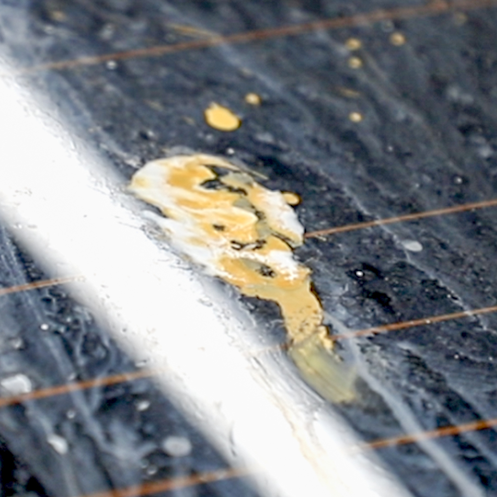 더클래스 데드스킨S 알칼리 프리워시 1L