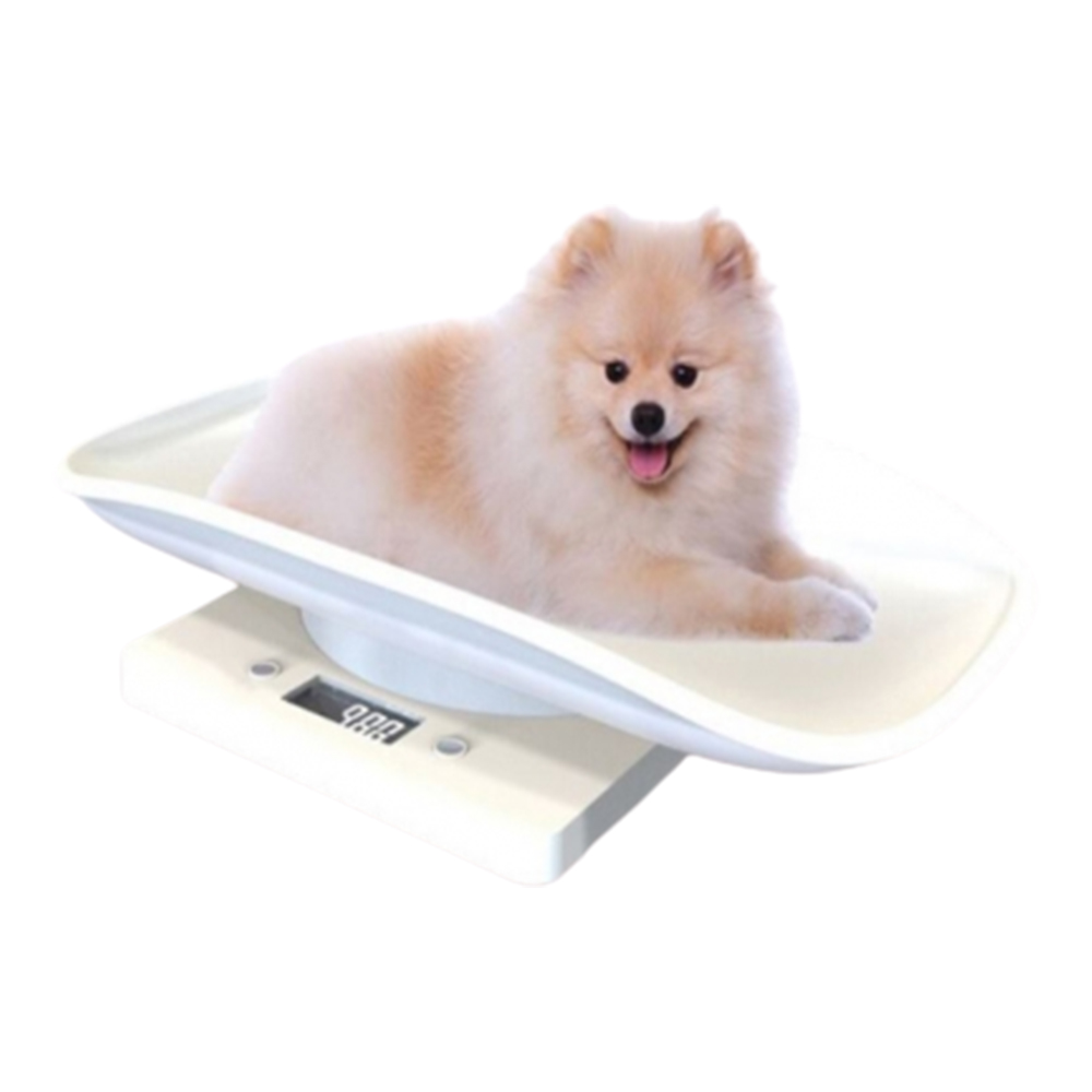 아기 강아지 체중계 고양이 새끼 반려동물 소형견 애완견 동물 병원 저울 몸무게 측정 전자 - 상품 이미지