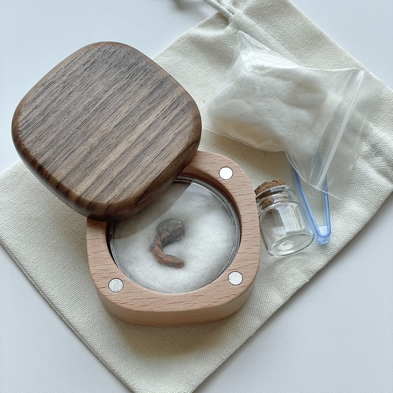 아가모아 탯줄 보관함 제대 보관 목화솜