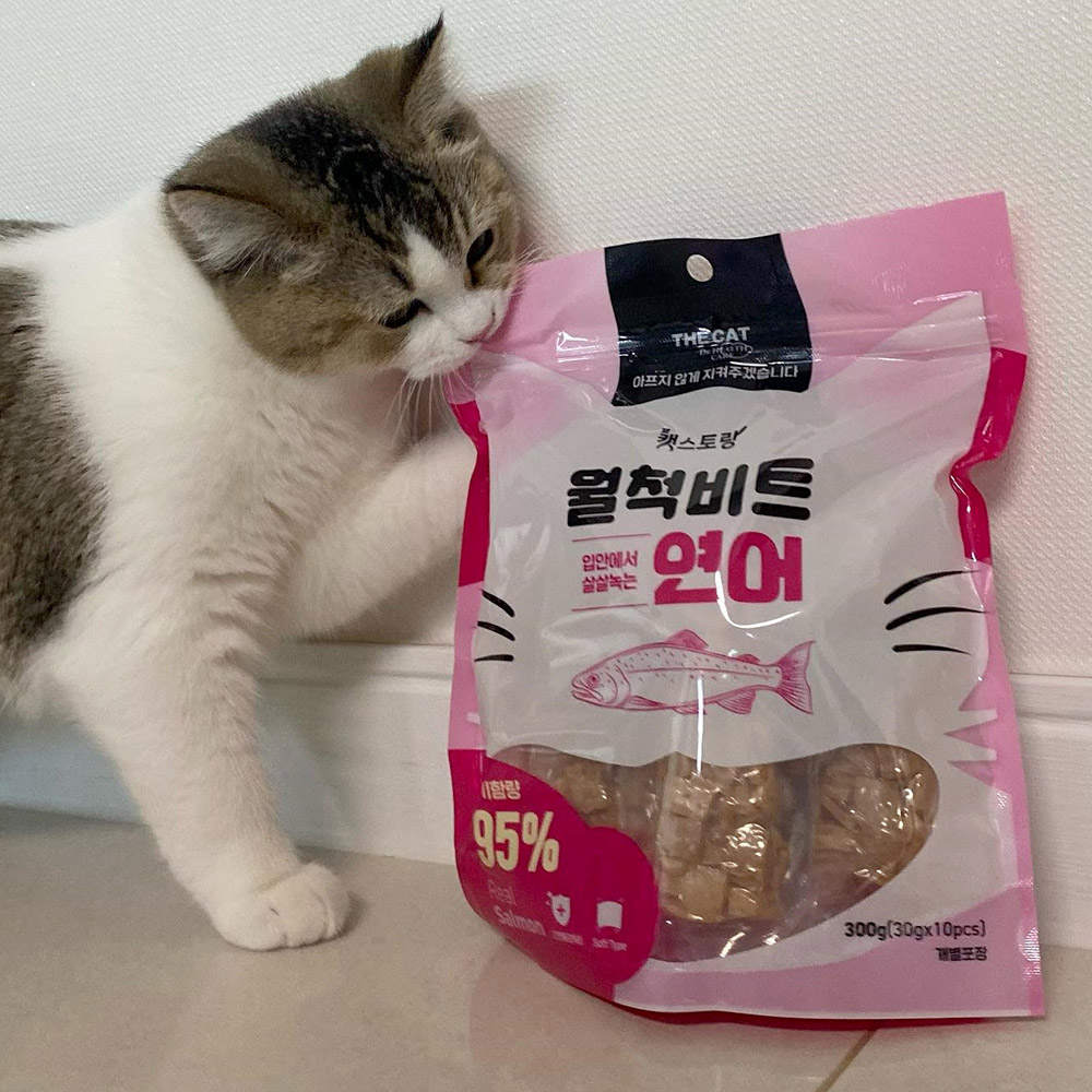 더캣 월척비트 연어, 300g, 1개 - 상세 이미지 5