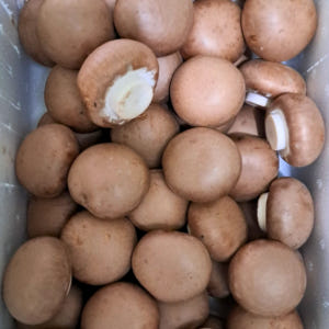 국내산 친환경 무농약 브라운 양송이버섯 1kg 특품 최상품 맛있게 먹은 솔직 후기 - 상품 이미지 1