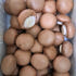 국내산 친환경 무농약 브라운 양송이버섯 1kg 특품 최상품 맛있게 먹은 솔직 후기 썸네일