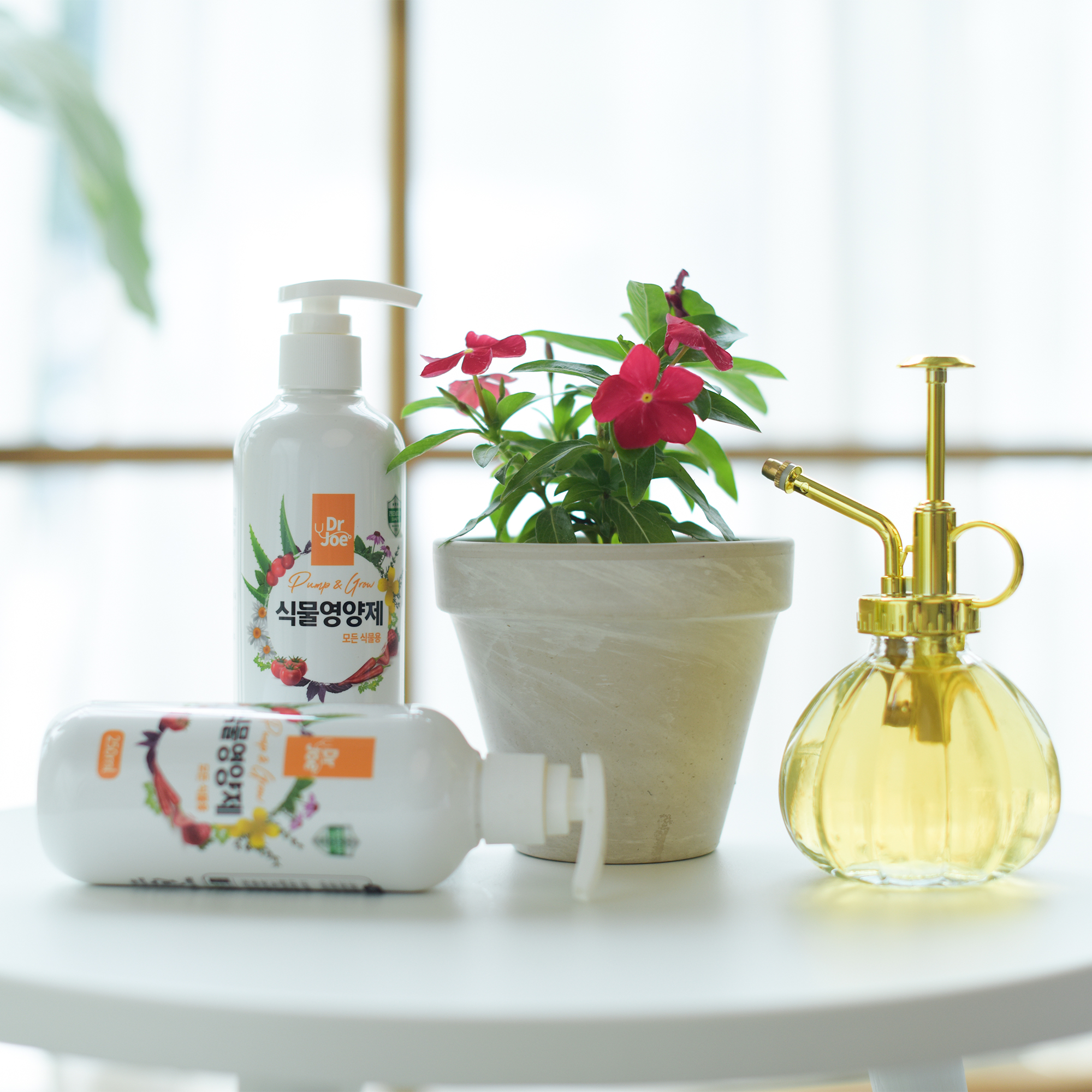 (주)누보 닥터조 식물영양제 250ml 꽃 화분 화초 영양제 - 상세 이미지 3