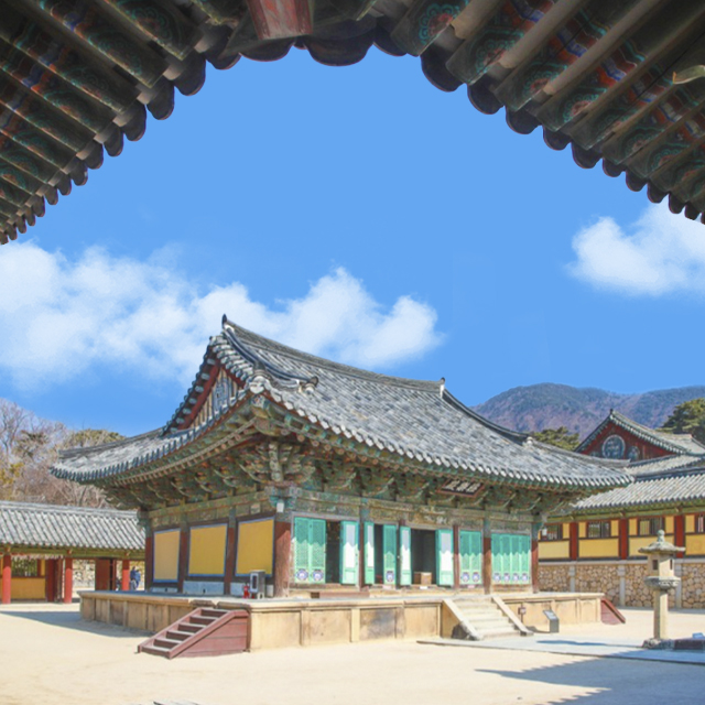 경주버스투어 뚜벅이 시티패스 일일패키지 원데이 당일치기 국내기차여행 커플 야경 가이드투어