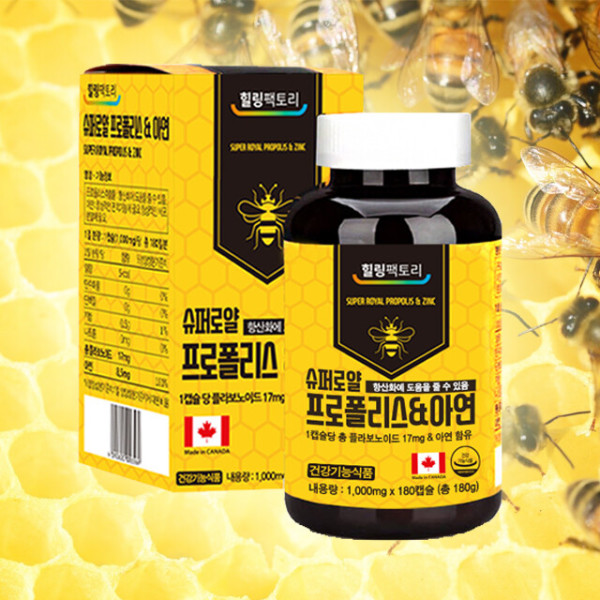 [6개월분] 힐링팩토리 캐나다 슈퍼로얄 프로폴리스 1000mg 아연 면역력 영양제 180캡슐, 1개 - 상세 이미지 5
