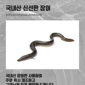자연산 장어즙 원기회복 기력회복 장어 액기스 진액 110ml 30포 맛있게 먹은 솔직 후기 - 상품 이미지 2