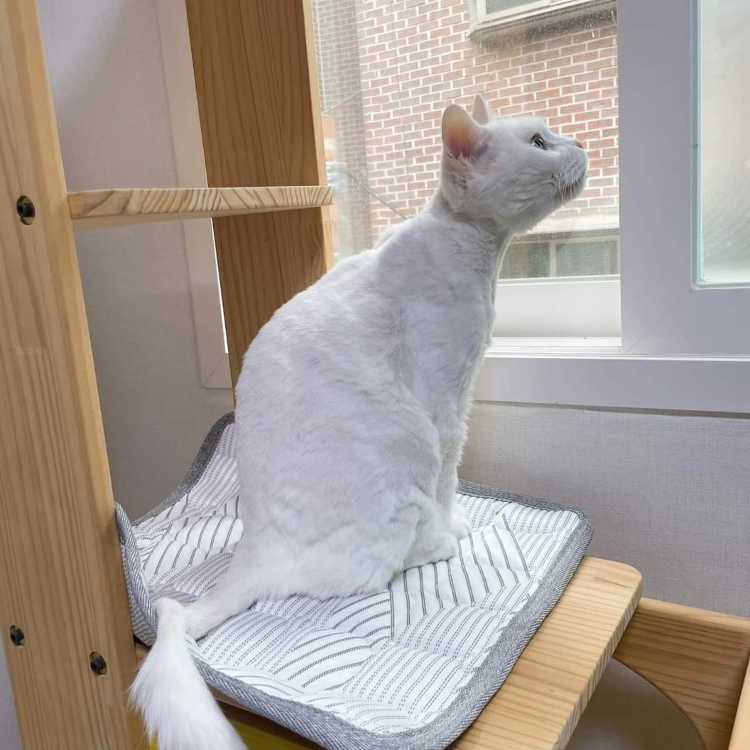 슬래빗 냉감방석 쿨링 쿨 시원한 의자 얼음 여름 듀라론방석