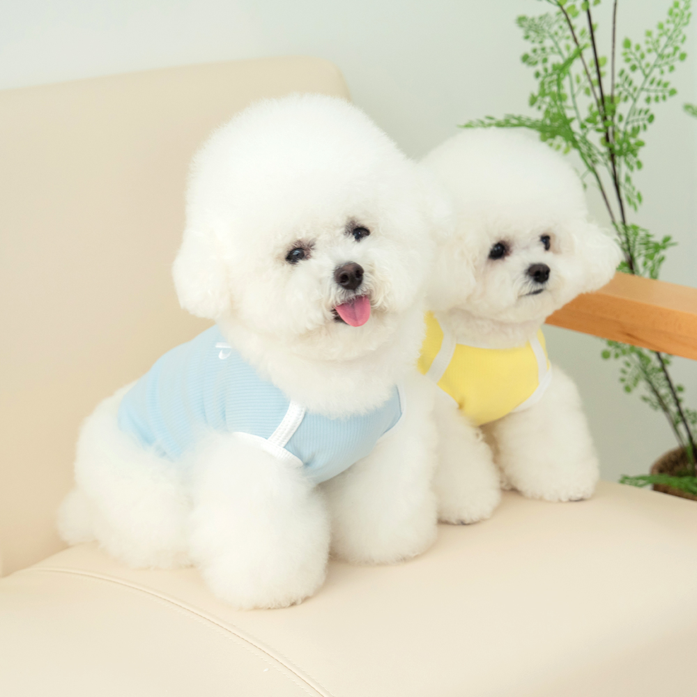 강아지옷 강아지 겨울옷 실내복 티셔츠 밀키 1+1기획세트 - 상세 이미지 3