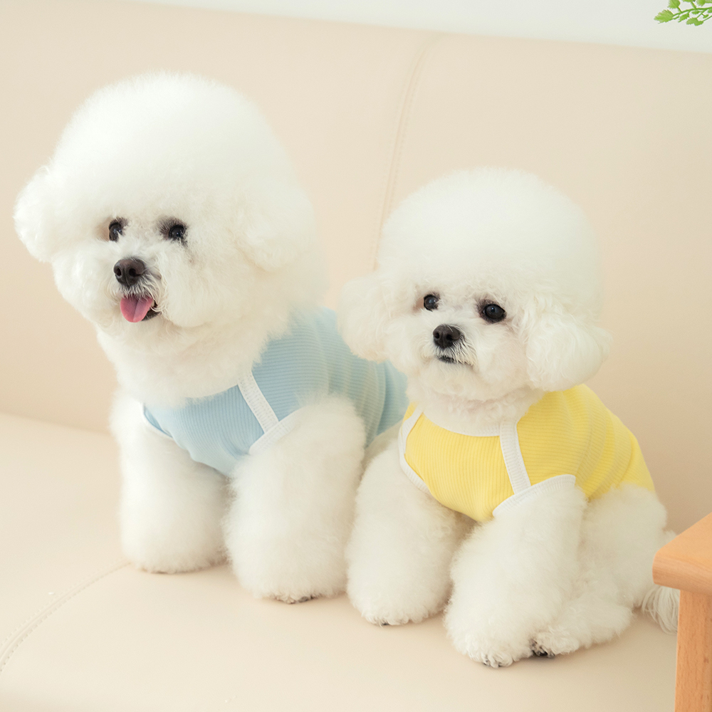 강아지옷 강아지 겨울옷 실내복 티셔츠 밀키 1+1기획세트 - 상세 이미지 5