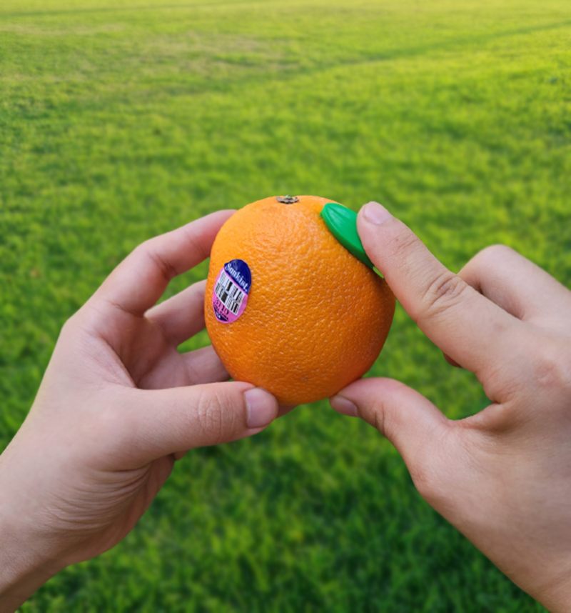 럭스 오렌지칼, 오렌지 필러, 망고칼 5개, 10개, 20개, 30개 - 상세 이미지 4